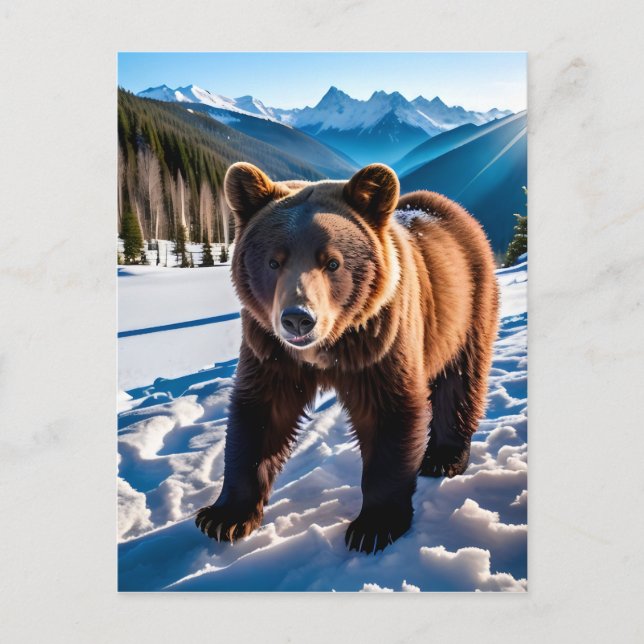 Brown Bear in the Snow Postcard (Front)