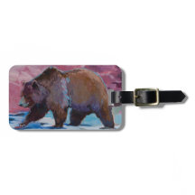 Brown Bear in Utah, Walking by the Rocks