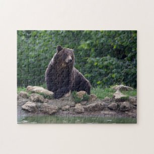 Brown bear jigsaw puzzle