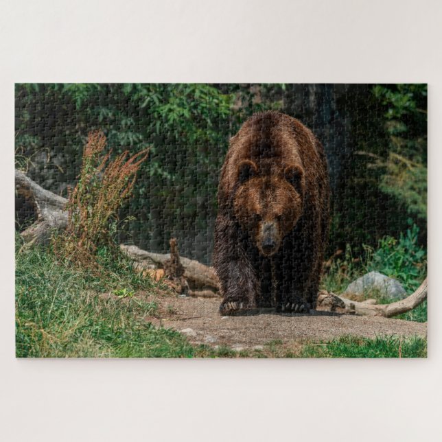 Brown Bear  Jigsaw Puzzle (Horizontal)
