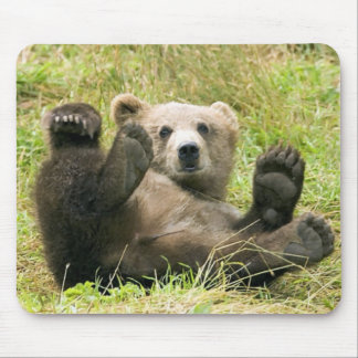 Brown_Bear_Kodiak_NWR Gifts Mouse Pad