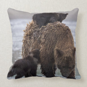 Brown Bear Lake Clark National Park Cushion