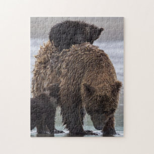 Brown Bear Lake Clark National Park Jigsaw Puzzle