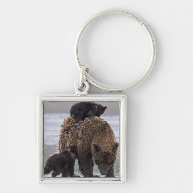 Brown Bear | Lake Clark National Park Key Ring (Front)
