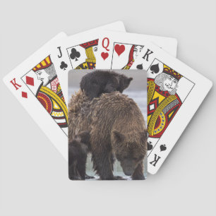 Brown Bear Lake Clark National Park Playing Cards