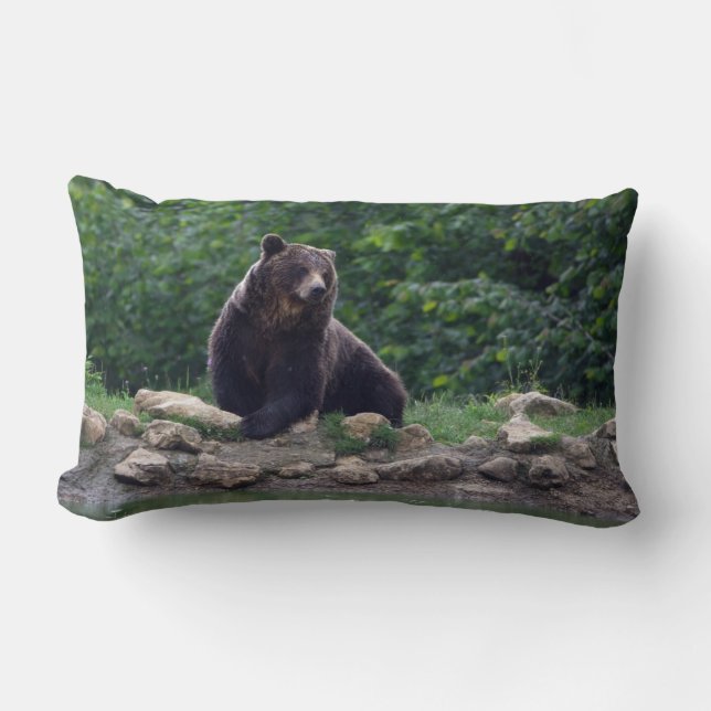 Brown bear lumbar cushion (Front)