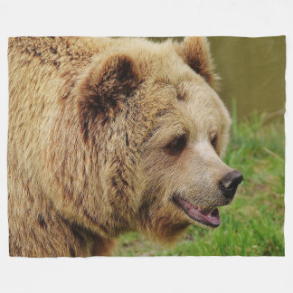 Brown Bear on Fleece Blanket