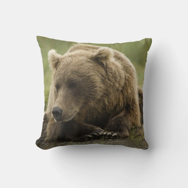 Brown bear, or Coastal Grizzly Bear, Ursus Cushion (Front)