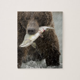 Brown bear, or Coastal Grizzly Bear, Ursus Jigsaw Puzzle
