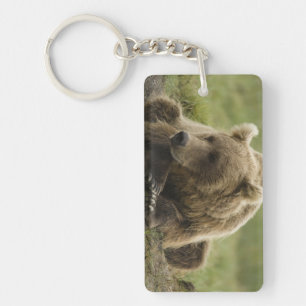 Brown bear, or Coastal Grizzly Bear, Ursus Key Ring
