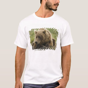 Brown bear, or Coastal Grizzly Bear, Ursus T-Shirt