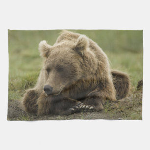 Brown bear, or Coastal Grizzly Bear, Ursus Tea Towel