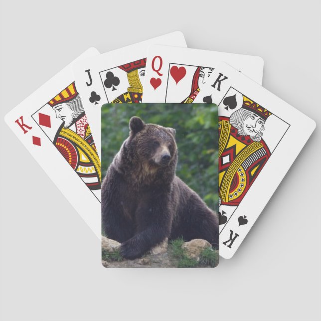 Brown bear playing cards (Back)