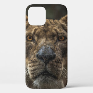 BROWN BEAR SELECTIVE FOCAL PHOTO DURING DAYTIME iPhone 12 CASE