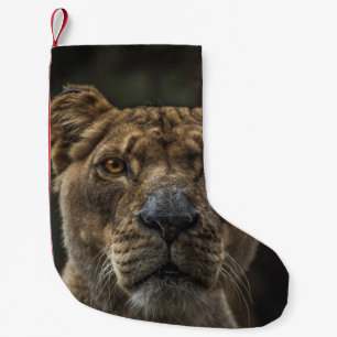 BROWN BEAR SELECTIVE FOCAL PHOTO DURING DAYTIME SMALL CHRISTMAS STOCKING