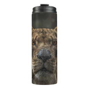 BROWN BEAR SELECTIVE FOCAL PHOTO DURING DAYTIME THERMAL TUMBLER