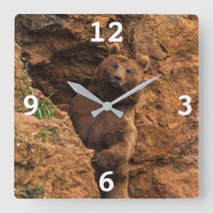 Brown Bear Square Wall Clock