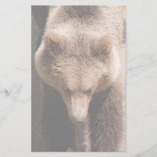 Brown bear stationery