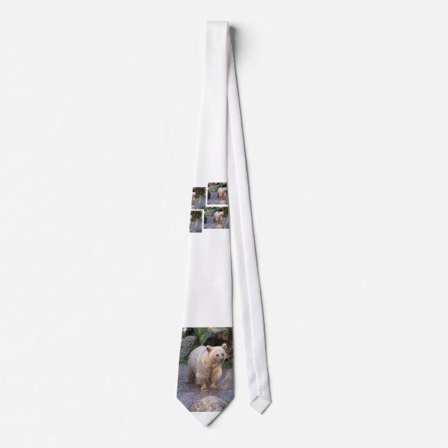 brown bear tie (Front)