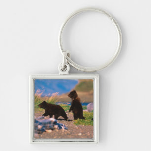 Brown Bear, Ursus arctos, Alaska Peninsula, Key Ring