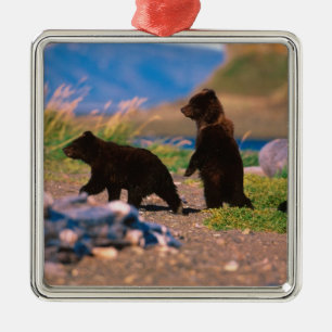 Brown Bear, Ursus arctos, Alaska Peninsula, Metal Tree Decoration