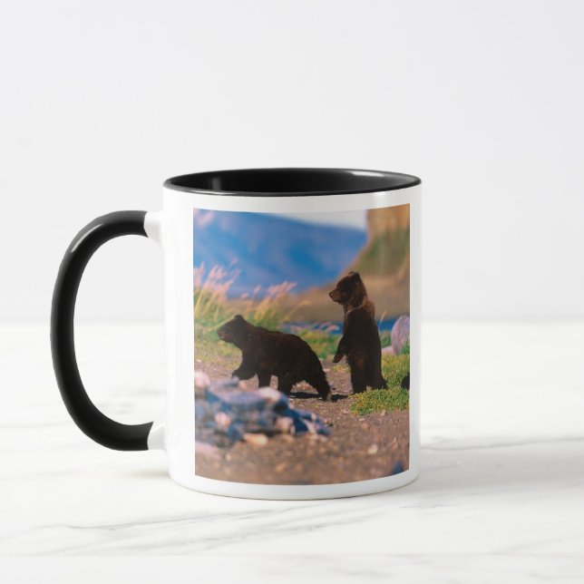 Brown Bear, Ursus arctos, Alaska Peninsula, Mug (Left)