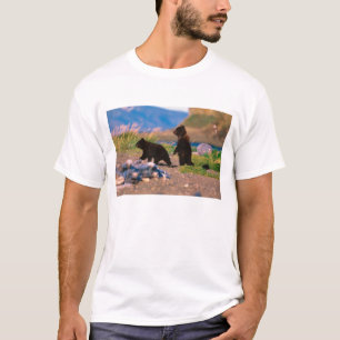 Brown Bear, Ursus arctos, Alaska Peninsula, T-Shirt