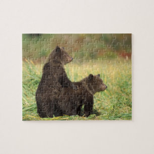 brown bear, Ursus arctos, grizzly bear, Ursus 2 Jigsaw Puzzle
