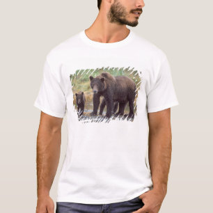 brown bear, Ursus arctos, grizzly bear, Ursus 3 T-Shirt