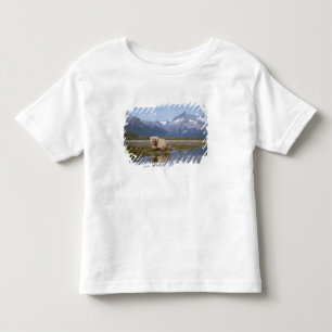 brown bear, Ursus arctos, grizzly bear, Ursus 4 Toddler T-Shirt