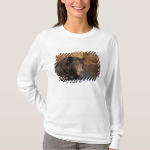 brown bear, Ursus arctos, grizzly bear, Ursus 5 T-Shirt