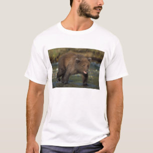 brown bear, Ursus arctos, grizzly bear, Ursus 6 T-Shirt