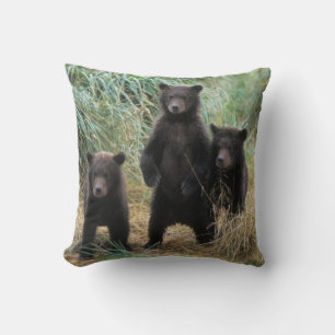 brown bear, Ursus arctos, grizzly bear, Ursus 7 2 Cushion