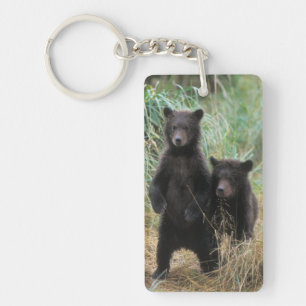 brown bear, Ursus arctos, grizzly bear, Ursus 7 2 Key Ring