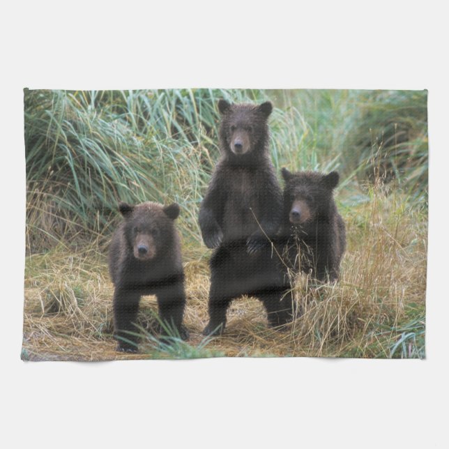 brown bear, Ursus arctos, grizzly bear, Ursus 7 2 Tea Towel (Horizontal)