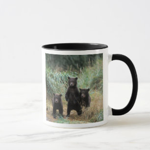 brown bear, Ursus arctos, grizzly bear, Ursus 7 Mug