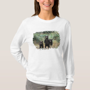 brown bear, Ursus arctos, grizzly bear, Ursus 7 T-Shirt