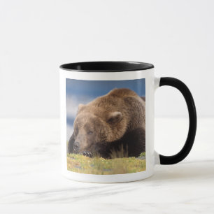 brown bear, Ursus arctos, grizzly bear, Ursus 8 Mug