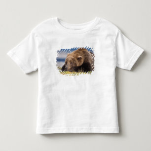 brown bear, Ursus arctos, grizzly bear, Ursus 8 Toddler T-Shirt