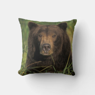 brown bear, Ursus arctos, grizzly bear, Ursus 9 Cushion