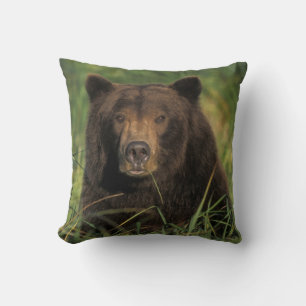 brown bear, Ursus arctos, grizzly bear, Ursus 9 Cushion