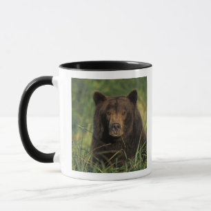 brown bear, Ursus arctos, grizzly bear, Ursus 9 Mug