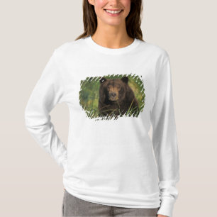 brown bear, Ursus arctos, grizzly bear, Ursus 9 T-Shirt