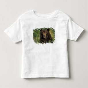 brown bear, Ursus arctos, grizzly bear, Ursus 9 Toddler T-Shirt