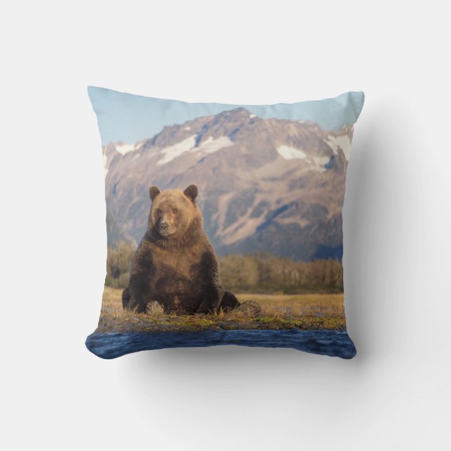 brown bear, Ursus arctos, grizzly bear, Ursus Cushion (Front)