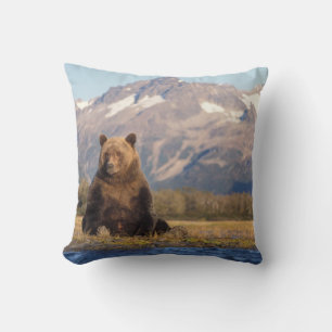 brown bear, Ursus arctos, grizzly bear, Ursus Cushion