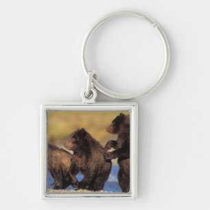 brown bear, Ursus arctos, grizzly bear, Ursus Key Ring
