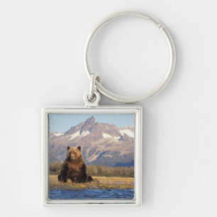 brown bear, Ursus arctos, grizzly bear, Ursus Key Ring