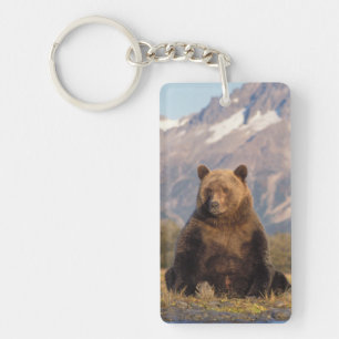 brown bear, Ursus arctos, grizzly bear, Ursus Key Ring