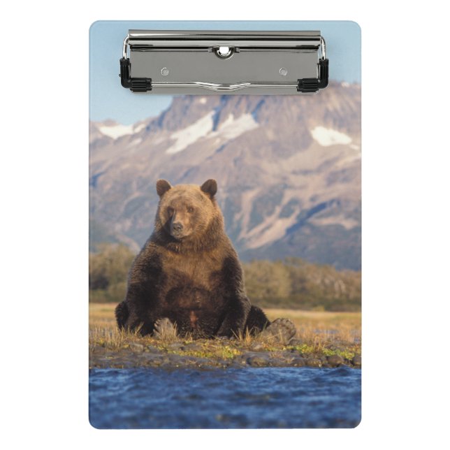 brown bear, Ursus arctos, grizzly bear, Ursus Mini Clipboard (Front)